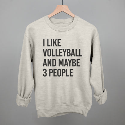 I Like Volleyball And Maybe 3 People