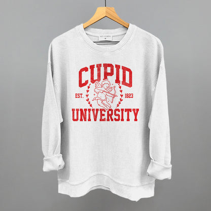 Cupid University