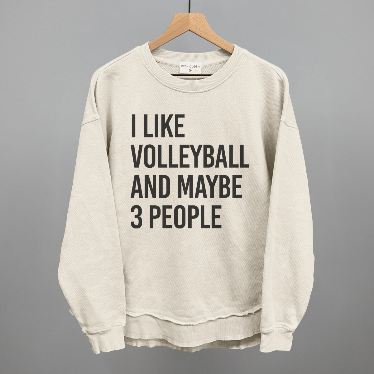 I Like Volleyball And Maybe 3 People