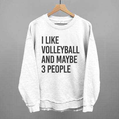 I Like Volleyball And Maybe 3 People