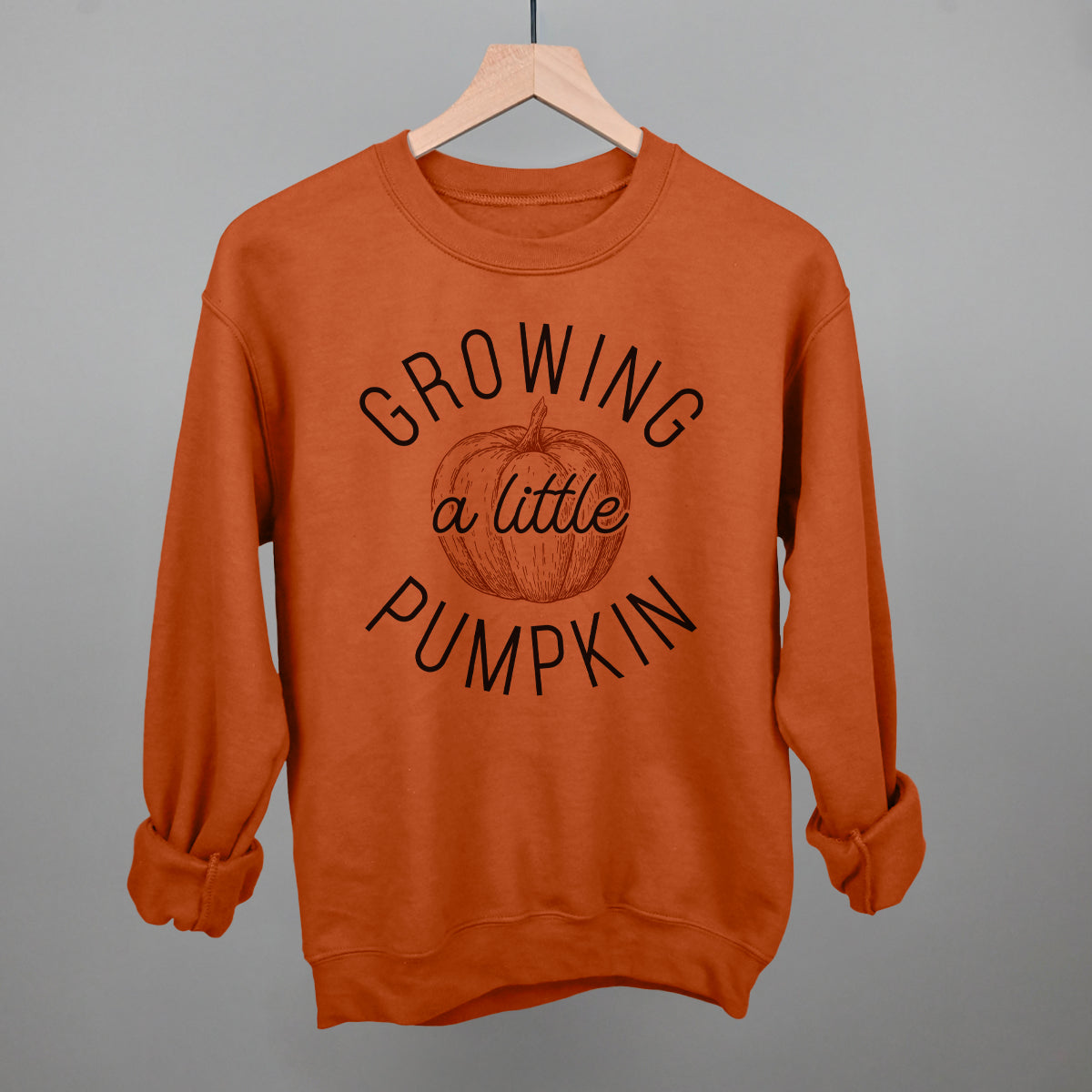 Little best sale pumpkin sweatshirt